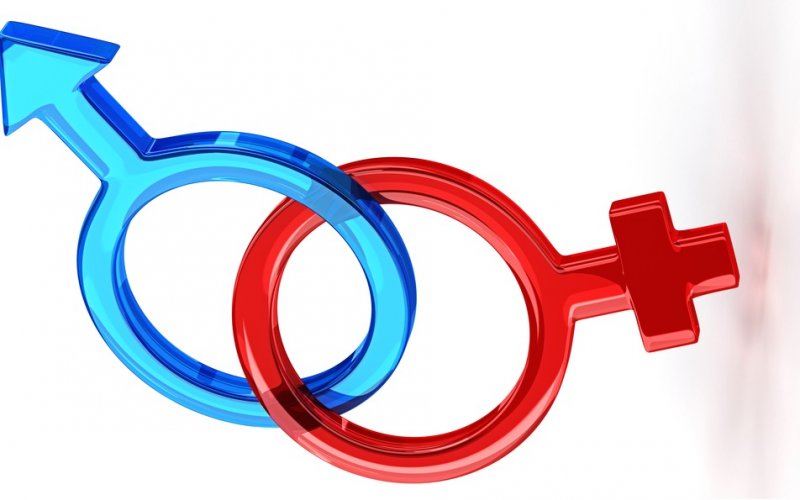 shutterstock_47550358