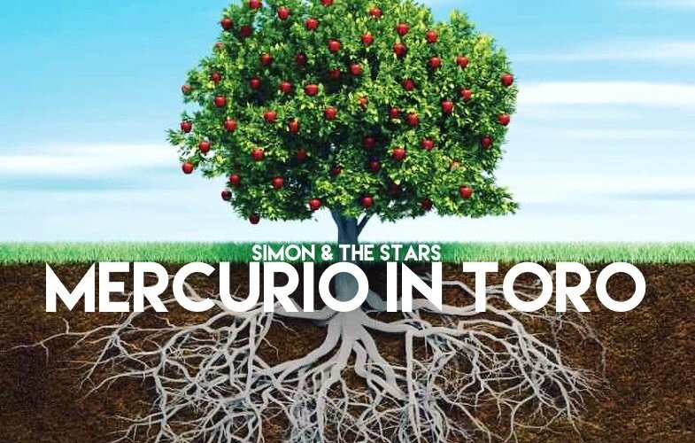Mercurio in Toro3