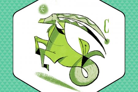 capricorno