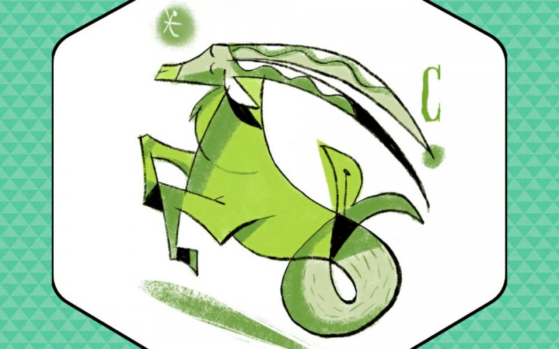 capricorno