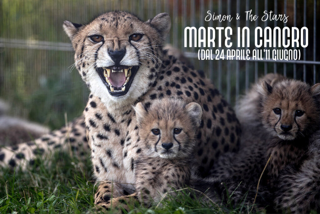 Marte in Cancro 2021