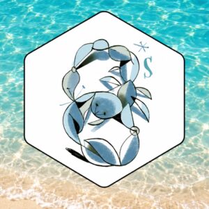 Oroscopo settimanale Scorpione con illustrazione del segno su sfondo di mare e sabbia